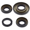 Differential Seal Only Kit All Balls Racing DB25-2006-5