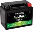 Gelski akumulator FULBAT FB4L-B GEL (High Capacity) (YB4L-B GEL)