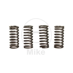 Clutch spring kit EBC 4