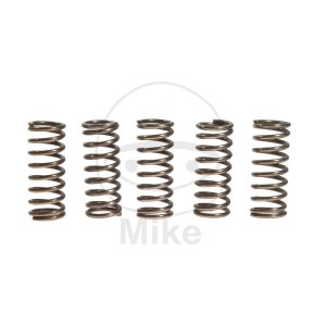 Clutch spring kit EBC 5