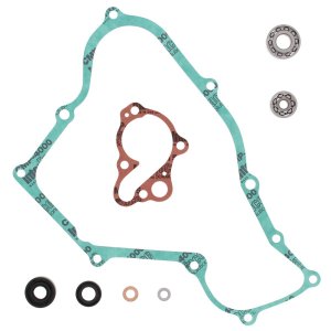 Water Pump Rebuild Kit WINDEROSA